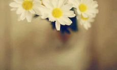 探讨友情主题的独白句子：从《小马宝莉》中挑选的表白情感及珍视友情的长句汇总