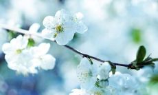 用笔在白纸上写下表达友情的句子