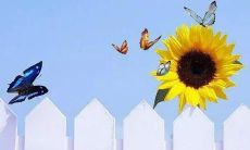 爱人每日晨间问候短信：如何通过小小的信息传递深情厚谊及维系甜蜜关系？