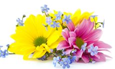 一条寄托着对南方大地深深思念之情的问候短信