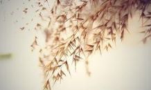 完全失望于任何事和任何人：一个充满绝望的句子