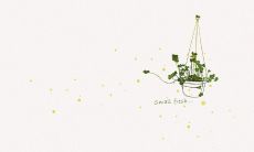 凝聚清新气息，妙语连篇的优美说说：小清新篇章