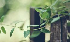 鼓励学习的知名人士名言和警句，激励自我进步和个人成长的劝诫语句