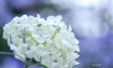 以八字为基础的名言和警句，赋予人们励志之力