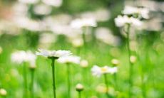 亲情的深刻含义: 点燃内心情感的言辞