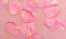 季节带来的开心：一系列季节性的唯美经典句子