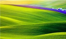 想要出彩的后厨，必备霸气押韵的口号！