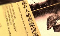 愿你有一位伴你在人生的颠沛流离中共赴艰辛之旅经典语录