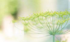 在古风飘渺的氛围中表达友情的句子