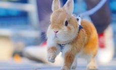 用简单的话送上祝福，让你的心情一路欣欣向荣