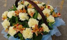 如何用短信问候正在生病中的亲友：简单易懂的问候语句和关心照顾的建议