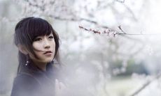 那些被错过的句子：从我们的视野中漏掉的精彩语言表达