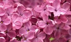 精选自写在亲情篇章中的句子，沉淀着真挚温馨的家庭情感