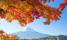 四季变幻的句子：从春华秋实到冬雪春回，一年四季的句子体现万物生长变化之美