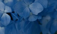 度过充实而令人愉悦的周末，充满快乐和满足的时刻让人心花怒放！