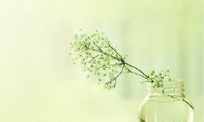 一大堆让你感到幸福的说说心情短语