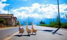 销售团队的口号：简短又霸气，助力房产销售！