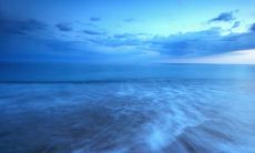 当亲情到达终极绝望时，那种心碎的感觉是如此沉重而难以忍受的