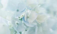 包含各种亲情的简短句子集锦 - 收集自亲情感言、歌曲歌词和电影台词！