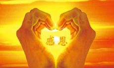 Expressing Gratitude to Society through English Sentences