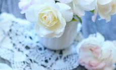 一场感人至深的亲情演绎——令人感慨的唯美亲情语句！