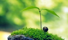 无敌，让你立刻拥有正能量，充满斗志的好听口号全收录！