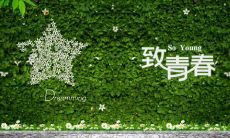 探究青春的美丽意象：寻找与青春相关联的唯美表述