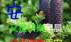 在客户维护中使用温馨的短信问候语以在早上与客户建立更紧密的联系