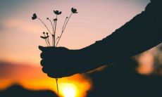 阐述在生命旅途中所遇见的那些令人难忘的或者留下深刻印象的句子