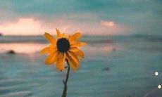 如何避免使用让人心烦的句子，提升交际效果和沟通质量？