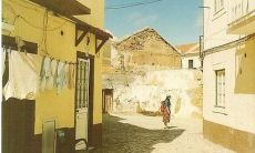 用语言表达自己对他人表现感到极度失望和沮丧的复杂句子