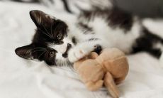 一堆让人眉开眼笑、肆意大笑的搞笑句子，让你感到如沐春风、心情舒畅！