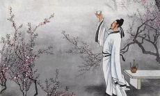 探究古代诗人关于爱国主题的诗句，探索传统文化中爱国精神的发展历程