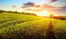 第三组口号：让你倍感霸气，充满押韵的口号！