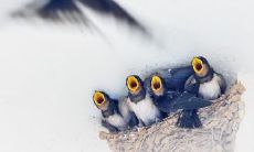 家庭情感缺乏稳定性而失去亲情的表现