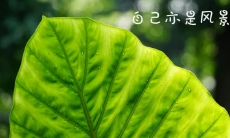 让我们祈愿2022年远离灾难，让人类重获平安与安宁