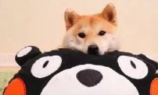 用幽默搞定没品位的人——一堆好笑的怼人句子