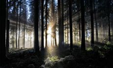 25个关于中元节的句子，让你深入了解这个重要的中国传统节日