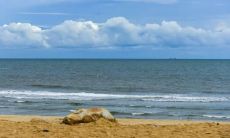 尽情表达悲伤情绪：用于形容想哭的不开心情绪的句子和心情短语