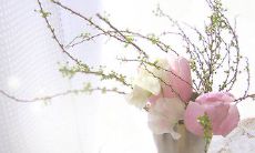 如何在结婚仪式上表达对父母的感恩之情？