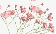 如何用言辞证明自己正在经历着欢乐、愉悦和充实的生活状态？