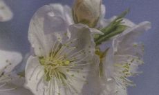 从告别四月到迎接五月：激励心灵的唯美句子话题