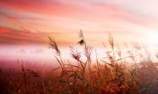 秋季精选：简约、轻松、温馨的心情留言，让你更好地感受秋日的赏心乐事！