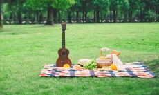 一份花的礼物带来的七夕喜悦——感受收到鲜花心情的美妙句子