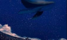 在深夜时刻向自己发出祝福的话语——留言一则，为自己送上珍贵的晚安祝福