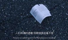 在深夜静谧的时刻，分享内涵句子，表达心情的感悟与思考