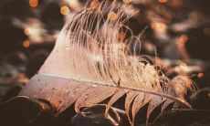 由自怨自艾而来的伤感言辞，引发内心痛苦的情诗句子