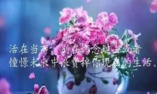 复制可悲的语句，撕裂心灵的文本