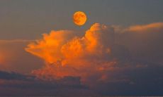 一些2022年具有仙气的充满正能量的句子