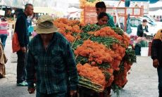 陈述心情不佳的话语以发泄心情